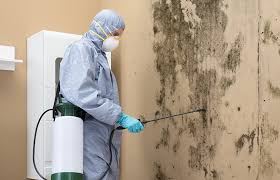 Best Industrial Mold Remediation  in Lake Brownwood, TX